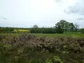Terrain a batir a vendre Méasnes 23360 Creuse 23 5000 m2 21200 euros 11825/233 001