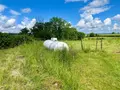 Maison a vendre Magny 89200 Yonne 89 74 m2 3 pièces 43000 euros 89099/140351 003