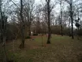 Terrains de loisirs bois etangs a vendre Saint-Outrille 18310 Cher 18 32791 euros 142136G 002