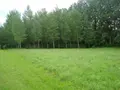 Terrain a batir a vendre Saint-Jean-d'Assé 72380 Sarthe 72 763 m2 50760 euros 079/1533 002