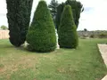Propriete a vendre Sargé-lès-le-Mans 72190 Sarthe 72 360 m2 6 pièces 360500 euros 079/217 004