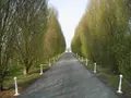 Propriete a vendre Sargé-lès-le-Mans 72190 Sarthe 72 360 m2 6 pièces 360500 euros 079/217 003