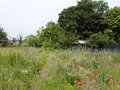 Terrain a batir a vendre Cuts 60400 Oise 60 44000 euros 60056-352311 001