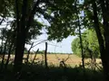 Terrain a batir a vendre Mauriac 15200 Cantal 15 4000 m2 53000 euros 15060/889 002