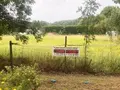 Terrain a batir a vendre Avesnes-le-Comte 62810 Pas-de-Calais 62 58780 euros 62112-TB01009 008