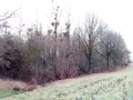 Divers a vendre Vimartin-sur-Orthe 53160 Mayenne 53 3600 euros 805 004