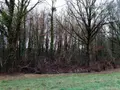 Divers a vendre Vimartin-sur-Orthe 53160 Mayenne 53 3600 euros 805 005