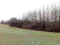 Divers a vendre Vimartin-sur-Orthe 53160 Mayenne 53 3600 euros 805 006