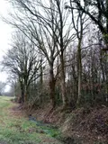 Divers a vendre Vimartin-sur-Orthe 53160 Mayenne 53 3600 euros 805 011