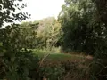 Terrains de loisirs bois etangs a vendre Saint-Thomas-de-Courceriers 53160 Mayenne 53 2700 euros 925 002
