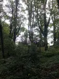 Terrains de loisirs bois etangs a vendre Saint-Thomas-de-Courceriers 53160 Mayenne 53 2700 euros 925 010