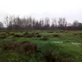 Bien agricole a vendre Villaines-la-Juhel 53700 Mayenne 53 33920 euros 971 007