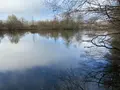 Terrains de loisirs bois etangs a vendre Requeil 72510 Sarthe 72 53000 euros TL/0014 001