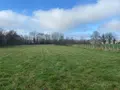 Terrains de loisirs bois etangs a vendre Requeil 72510 Sarthe 72 53000 euros TL/0014 003
