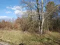 Terrain a batir a vendre Romorantin-Lanthenay 41200 Loir-et-Cher 41 1828 m2 67456 euros 41036/2433 001