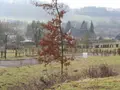 Terrain a batir a vendre Haudricourt 76390 Seine-Maritime 76 994 m2 26341 euros 76077-TB00630A 005