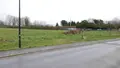 Terrain a batir a vendre Faissault 08270 Ardennes 08 34400 euros 08018--1995C 001