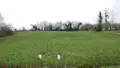 Terrain a batir a vendre Faissault 08270 Ardennes 08 30300 euros 08018--1995F 001