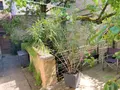 Viager propriete Vézelay 89450 Yonne 89 292 m2 123400 euros 89099/140549 010