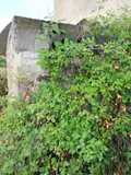 Maison a vendre Villefranche-de-Rouergue 12200 Aveyron 12 200 m2 6 pièces 106000 euros 3129 026