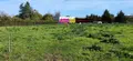 Terrain a batir a vendre Allouis 18500 Cher 18 1238 m2 37940 euros 142362M 002