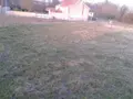Terrain a batir a vendre Germinon 51130 Marne 51 62475 euros 51029-360 003