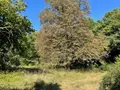 Maison a vendre Pellevoisin 36180 Indre 36 140 m2 10 pièces 102125 euros 016/336 021