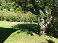 Maison a vendre Drugeac 15140 Cantal 15 86 m2 167480 euros 15060/1031 010
