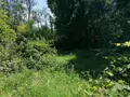 Maison a vendre Montier-en-l'Isle 10200 Aube 10 200 m2 6 pièces 61000 euros 10379/517 013