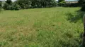 Terrain a batir a vendre Thuré 86540 Vienne 86 400 m2 30000 euros 86024-TEBA2180 003