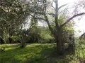 Maison a vendre Vimartin-sur-Orthe 53160 Mayenne 53 64 m2 4 pièces 177870 euros 53047-950 009