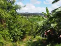 Maison a vendre Le Robert 97231 Martinique 972 35 m2 3 pièces 192500 euros 79 005