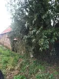 Maison a vendre Montanel 50240 Manche 50 150 m2 2 pièces 25000 euros 12541/1963 004