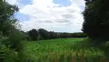 Terrain a batir a vendre Landivisiau 29400 Finistère 29 81400 euros 3972 001