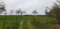 Terrain a batir a vendre Callengeville 76270 Seine-Maritime 76 250 m2 30740 euros 61 002