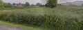 Terrain a batir a vendre Anvin 62134 Pas-de-Calais 62 36448 euros 2248 003