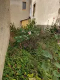 Maison a vendre Valuéjols 15300 Cantal 15 129 m2 6 pièces 69000 euros BM/2061 028