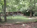 Maison a vendre Ruminghem 62370 Pas-de-Calais 62 199 m2 260000 euros M1479 022
