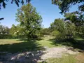 Terrain a batir a vendre Pruniers-en-Sologne 41200 Loir-et-Cher 41 970 m2 29300 euros 41036/2741 002