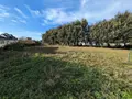 Terrain a batir a vendre Trégunc 29910 Finistère 29 480 m2 189000 euros 11286/814 003