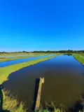 Terrains de loisirs bois etangs a vendre Lingé 36220 Indre 36 660000 euros 037/2373 004