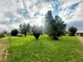 Propriete a vendre Chambon 17290 Charente-Maritime 17 243 m2 8 pièces 400000 euros 524 012