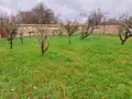 Propriete a vendre Chambon 17290 Charente-Maritime 17 243 m2 8 pièces 400000 euros 524 020