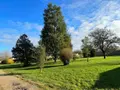 Propriete a vendre Chambon 17290 Charente-Maritime 17 243 m2 8 pièces 400000 euros 524 031