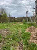 Terrains de loisirs bois etangs a vendre Bossay-sur-Claise 37290 Indre-et-Loire 37 5000 euros 1040791 001