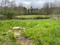 Terrains de loisirs bois etangs a vendre Bossay-sur-Claise 37290 Indre-et-Loire 37 5000 euros 1040791 002