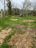 Terrains de loisirs bois etangs a vendre Bossay-sur-Claise 37290 Indre-et-Loire 37 5000 euros 1040791 003