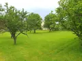 Terrains de loisirs bois etangs a vendre Saint-Jean-devant-Possesse 51330 Marne 51 6500 euros 51081/808 002
