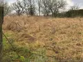 Terrain a batir a vendre Silmont 55000 Meuse 55 15000 euros 844 006