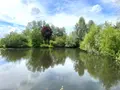 Maison a vendre Watten 59143 Nord 59 94 m2 8 pièces 489000 euros H02120 002